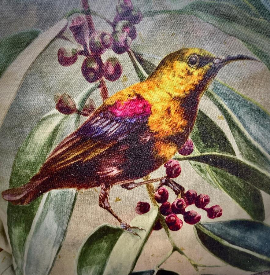Апартаменти The Sunbird Плеттенберг-Бей Екстер'єр фото